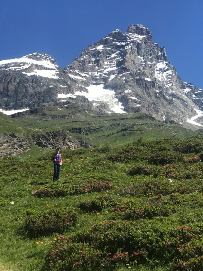 Piccolo Paradiso In Centro Cervinia Breuil-Cervinia Kültér fotó